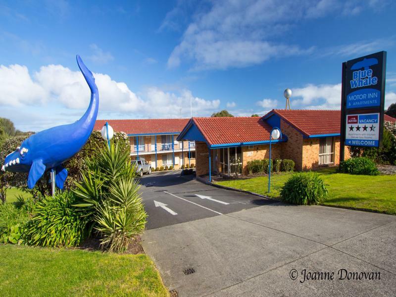 Blue Whale Motor Inn & Apartments Warrnambool Ngoại thất bức ảnh